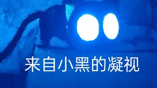 【绘画】这才是黑暗里小黑该有的眼睛