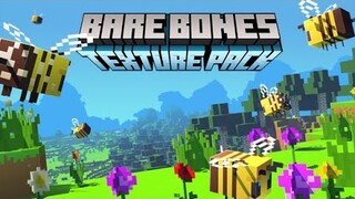 Bare Bones TEXTURE PACK For Minecraft Pe (Bedrock) 1.14+