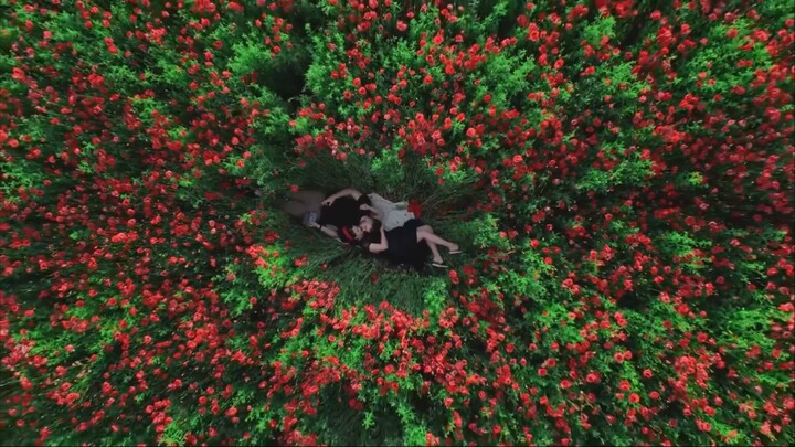 "Look, the world is full of flowers"