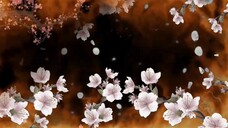 The play "Longing" has come to an end! Sprinkle flowers!
