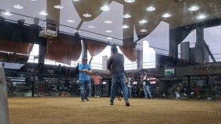 Tejano Bulik Piat  cockpit 2 hits champ