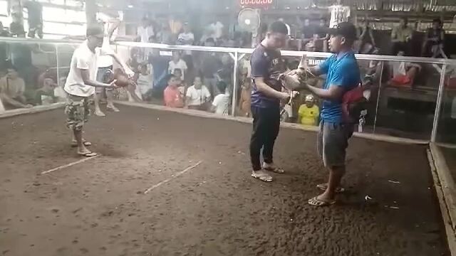 Brotherhood's Tabas first fight 🏆