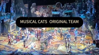 [MUSICAL CATS PERFORMED BY ORIGINAL TEAM]2023년 전세계 4대 뮤지컬 캣츠 40주년 내한공연 커튼콜3,4(🎶가사)고양이 캐릭터 간략소개,N차 관람