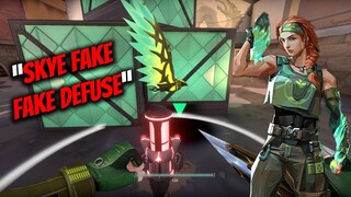 CARA MEMBAGONGKAN MUSUH "SKYE FAKE FAKE DEFUSE" TUTORIAL | Valorant Indonesia