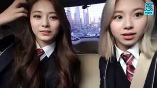 tzuyu vlive