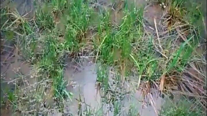 Nature Lover Be Like🌿