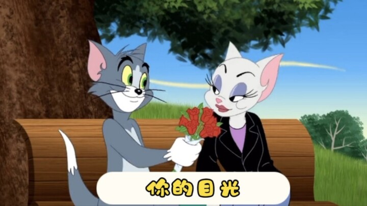 你的目光｜送给我的第二位舰长TiAmo-黑鸦(*˘︶˘*).。.:*♡