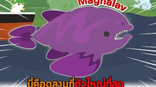 นี่คือฉลามที่ตัวใหญ่ที่สุด Magnalav Cat Goes Fishing