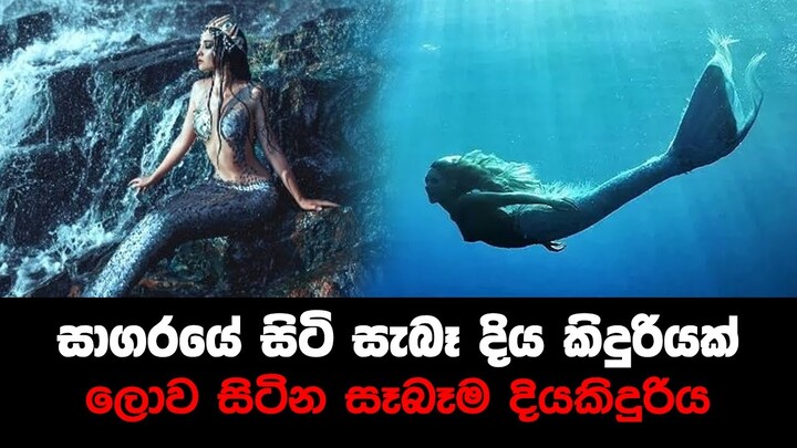 ලොව සිටින සෑබෑම දියකිදුරිය