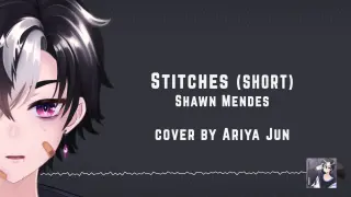 【SHORT COVER】Stitches - Shawn Mendes【Ariya Jun】