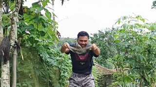 jurus kecepatan tangan