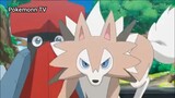 Pokemon Sun & Moon (Ep 36.1) Satoshi x Lychee-san: Đại Thử Thách (phần 1) #PokemonSun&Moon