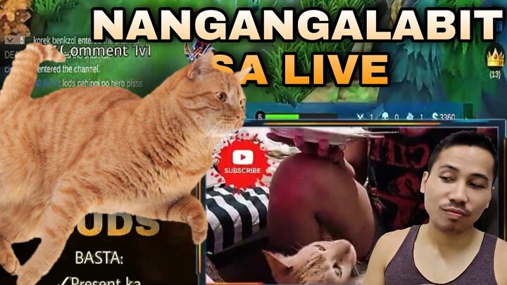 Yung Pusa mong Mahilig Mangalabit habang naka Live Stream ka