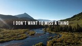 I Don't Want To Miss A Thing - Music Travel Love ft. Felix Irwan