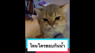 ลูกชายอันสุดประเสริฐของแม่