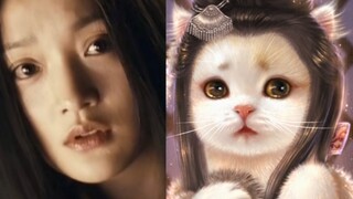 美猫如画