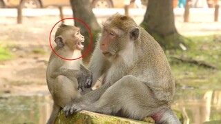 Ohh So Pity Why Jane Bit Janet, Poor Baby Janet Screaming Ask Mom To Have Milk, Janet Sleep With Mom