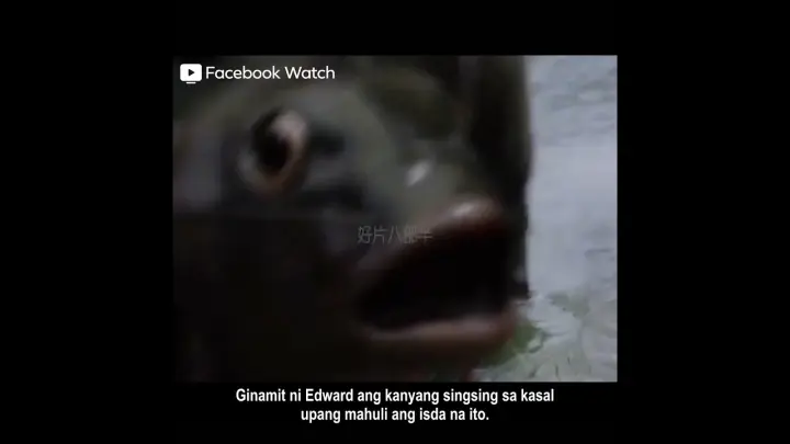 "The Big Fish | Tagalog Summary"
