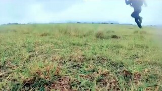 Tutorial Menangkap Singa