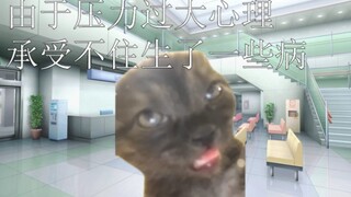 小猫跌宕起伏的学校生活【猫meme】