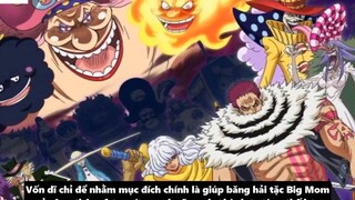 4 Giả Thuyết Hay Nhất Về Kế Hoạch Tân Onigashima_ _ Giả Thuyết One Piece 2