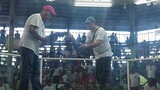 2nd fight win ulit 3hits ulutan june 1 2024 balagtas cockfit