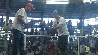 2nd fight win ulit 3hits ulutan june 1 2024 balagtas cockfit