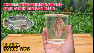 SATU TAHUN: IKAN DIDALAM RESIN