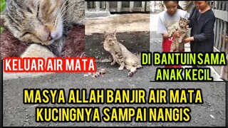 Astagfirullah Kucing Liar Lumpuh Sengsara Banget Sampai Menangis Saat Di Tolongin..!