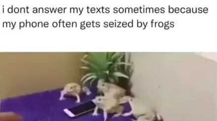 Frogs