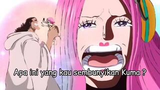 apa inii kebenaran tentang Bonney !?