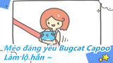 Mèo đáng yêu Bugcat Capoo| Câu vừa làm lộ hắn ╮(￣Không￣)╭