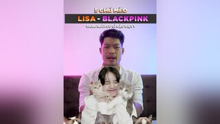 5 chú mèo của Lisa - Blackpink đang nuôi có gì đặc biệt tuitienpet dcgr pet learnontiktok