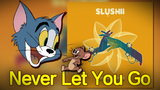 ["Tom & Jerry" nhạc auto tune] Never Let You Go