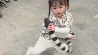 The five-year-old Chaoshan girl is really good at the snake dance!