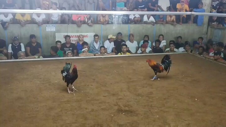 win, hirap sa katawan si dagul