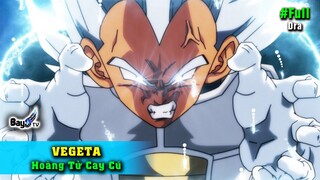 51 Sự Thật Vegeta - Dragonball