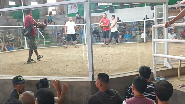 bulik dalawang tari