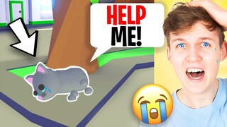 LANKYBOX React To A SAD STRAY CAT ANIMATION In ADOPT ME! (WE CRIED!)