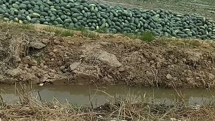 thật là nhiều quá đi mà:)))😆😆