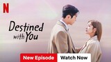 Last EP 16 Hindi Destined With You 2023