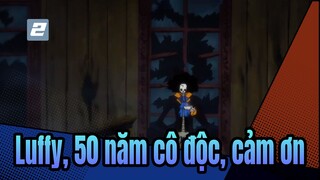 Luffy, 50 năm cô độc, cảm ơn-2