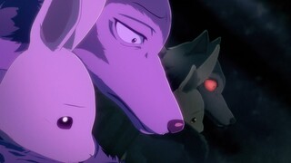 Beastars Legosi and Haru「AMV」- If You Want Love