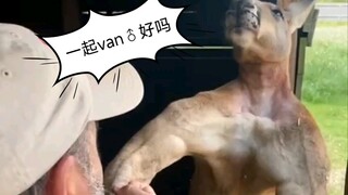 《陪我100%一起van♂可以吗》