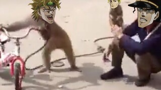 JoJos Monkey Adventure ตอนที่ 2