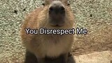 You disrespect me. (and my family)