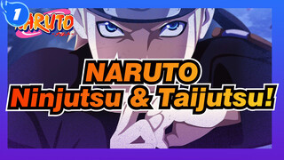 NARUTO|【Epic Compilation/AMV】A visual feast of Naruto Ninjutsu and Taijutsu!_1