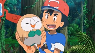 Rowlet chim cú mèo Pokemon đáng yêu