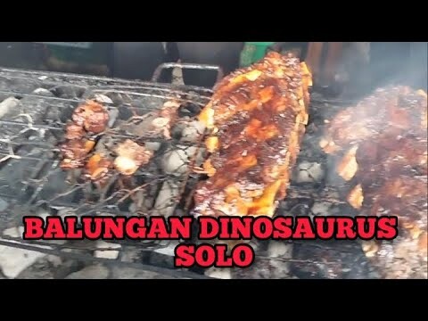 BALUNGAN DINOSAURUS SOLO