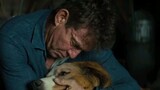 A dogs journey( best movies )